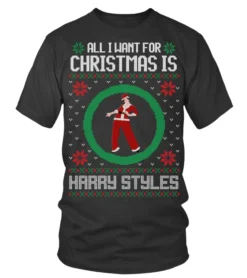 All I Want For Christmas Is HArry